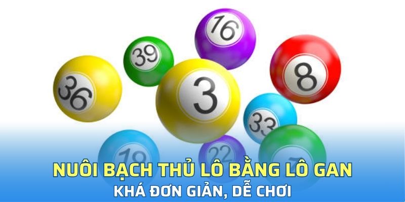 Nuôi bạch thủ lô bằng lô gan khá đơn giản, dễ chơi