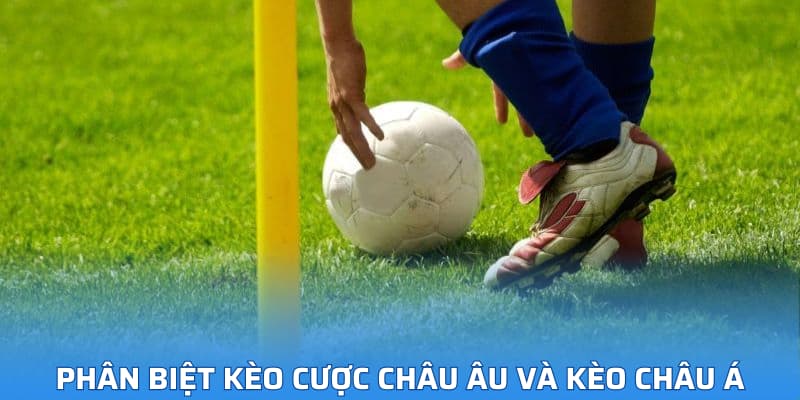 Kinh nghiệm vàng giúp thành công khi tham gia kèo châu Á
